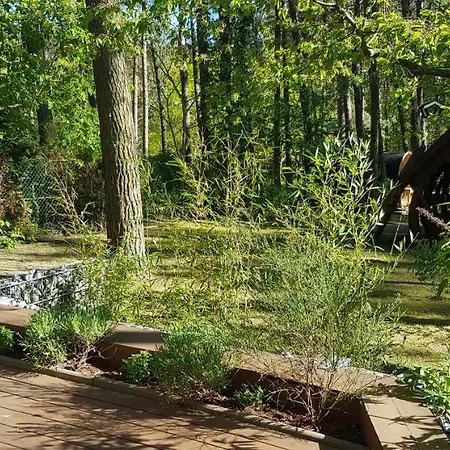 Knopf -direkt Am Kuestenwald