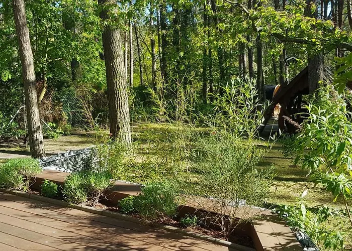 Knopf -direkt Am Kuestenwald